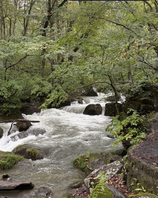 MASH(マッシュ) 奥入瀬渓流 in青森