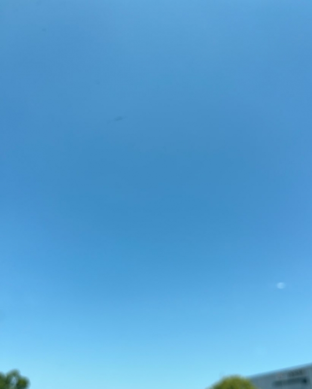HARUKI(ハルキ) 気をつけて!