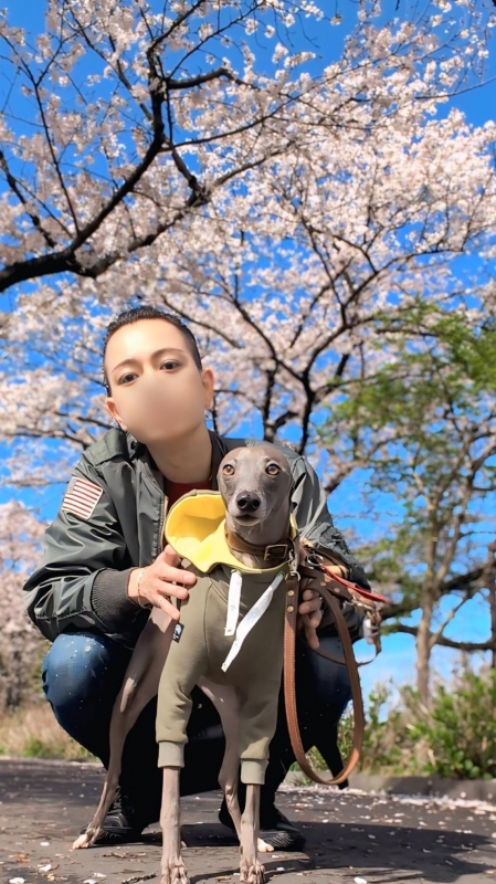 AYUMU(ｱﾕﾑ) さくら〜🌸