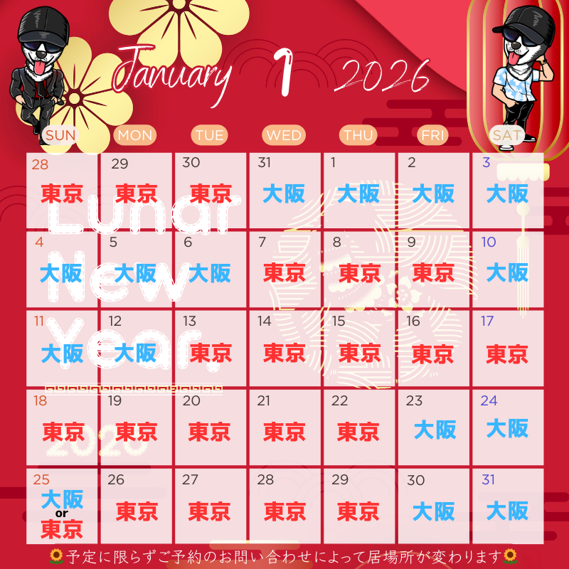 HIMAWARI(ﾋﾏﾜﾘ) 1月の予定　東京&大阪