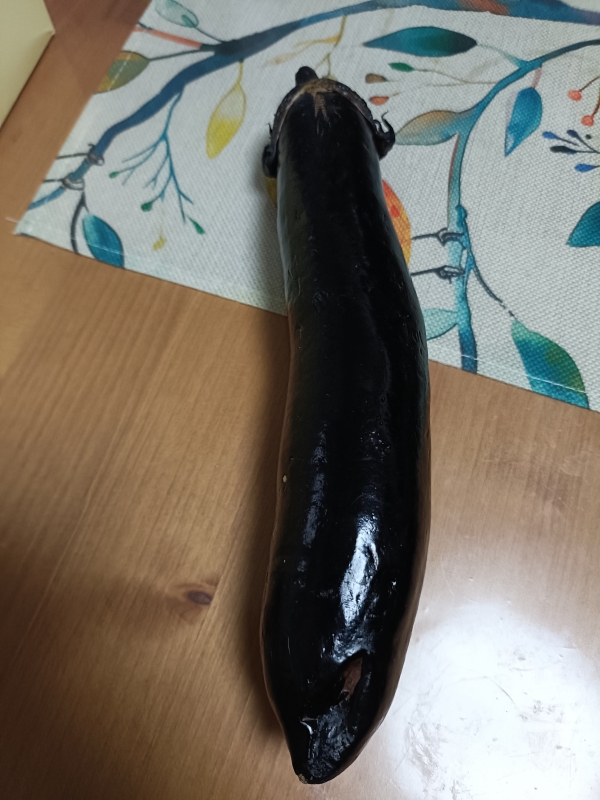 IEYASU(イエヤス) 【day3 どうする?いえやす日記】