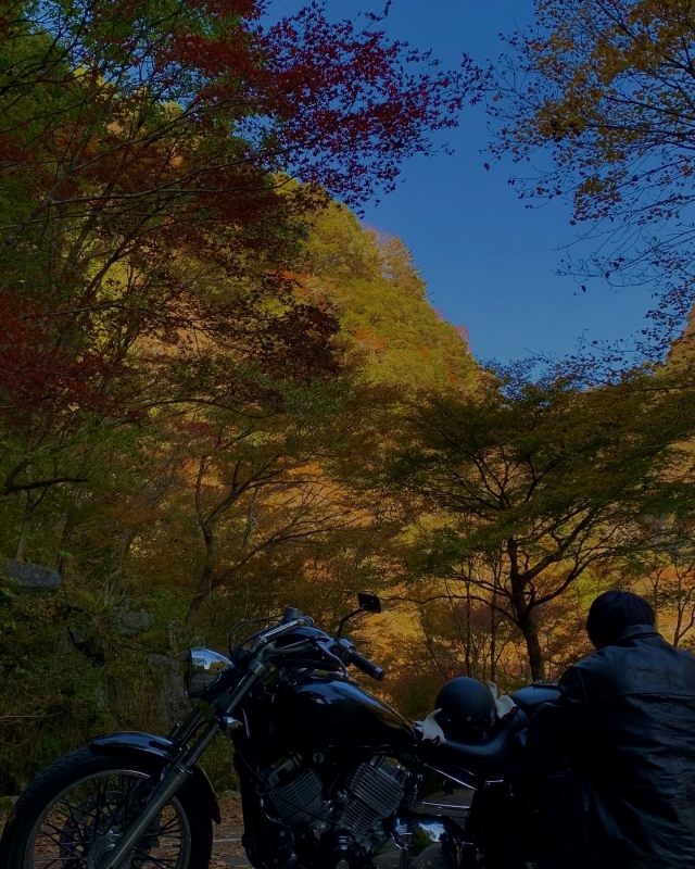 KENTO(ｹﾝﾄ) 紅葉の見頃