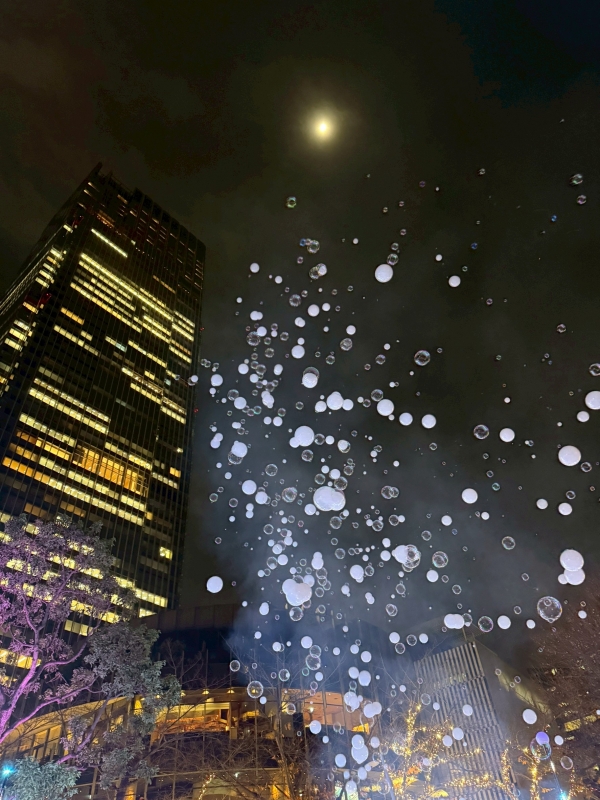 SHION(ｼｵﾝ) これから