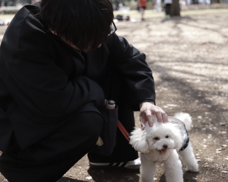 MASH(ﾏｯｼｭ) #2-22 将来は絶対に犬を飼いたい！