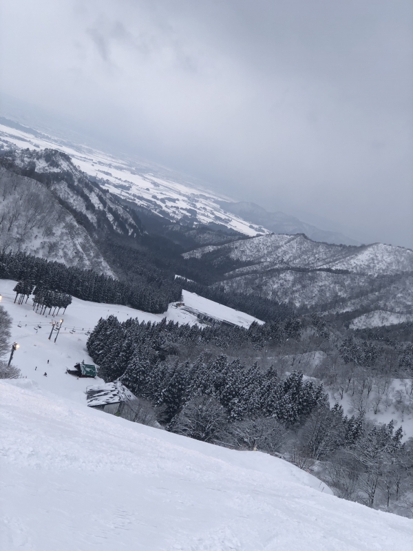 NANASE(ナナセ) 今年こそは🏂