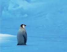 SOU(ソウ) 凍結しました(._.)