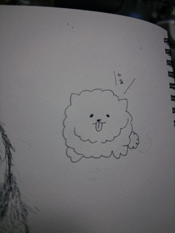 YAK(ﾔｸ) ポメラニアァァ