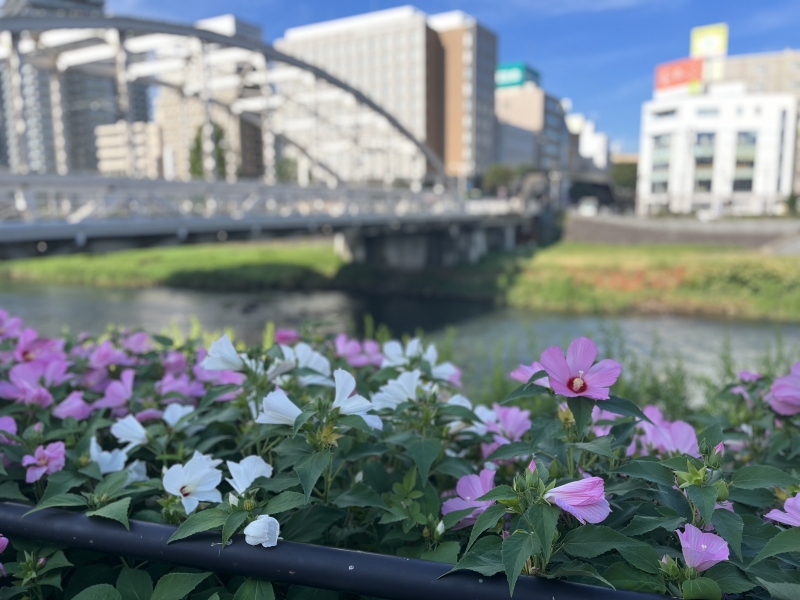 KIPPEI(キッペイ) 朝の散歩