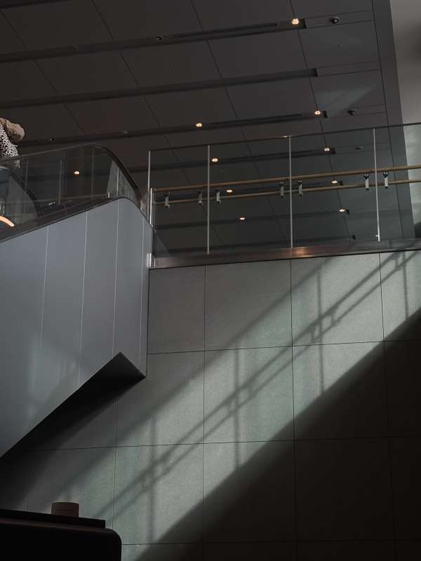 MASH(ﾏｯｼｭ) 光と影。