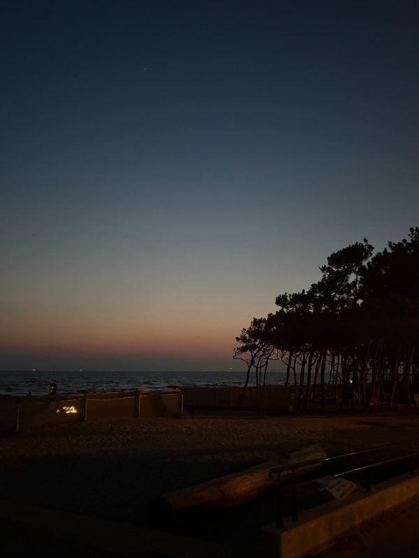 MASH(マッシュ) 🌃