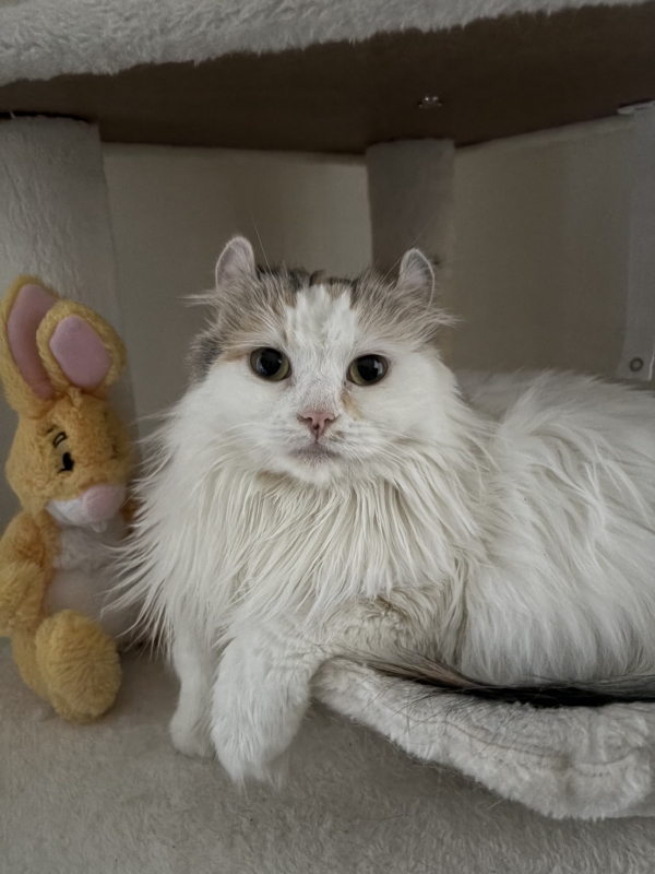 YUMA(ﾕｳﾏ) ご利用を検討されてる方！！