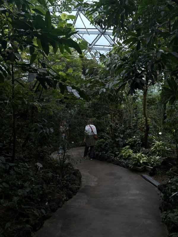 MASH(マッシュ) 温室