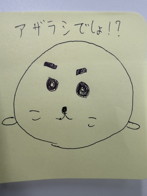 ARASHI(ｱﾗｼ) 【ピカソ目指す！募集します】