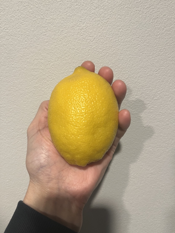 SHINNOSUKE(シンノスケ) レモン