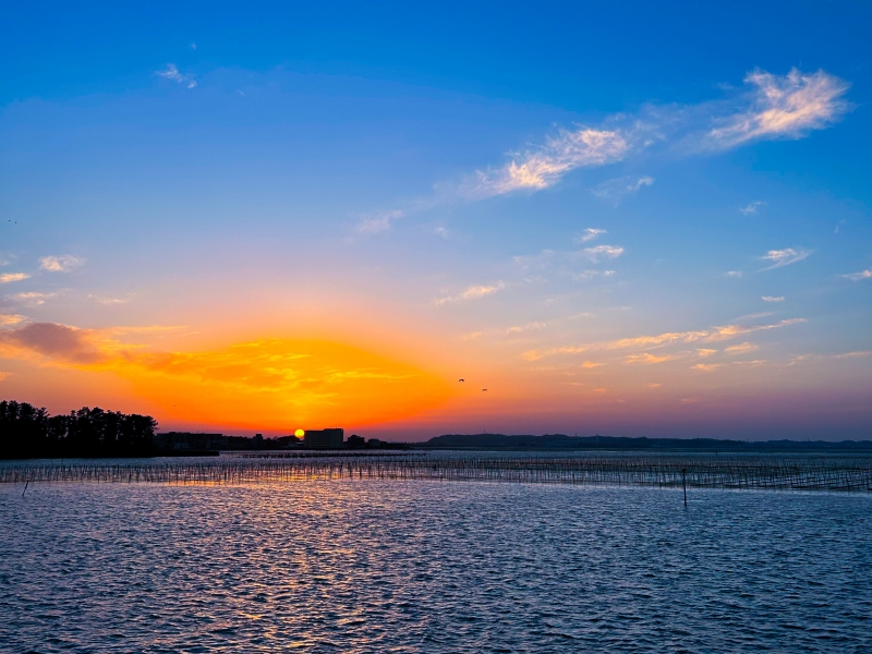 SHINICHI(ｼﾝｲﾁ) 困難の中に機会がある