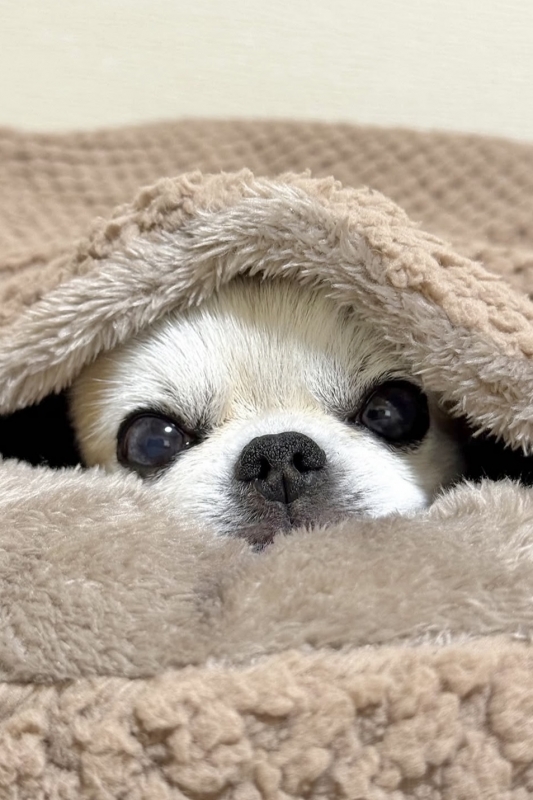 KENTO (ｹﾝﾄ) 🤔