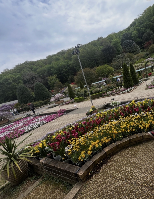 AKIHIRO（ｱｷﾋﾛ） 花