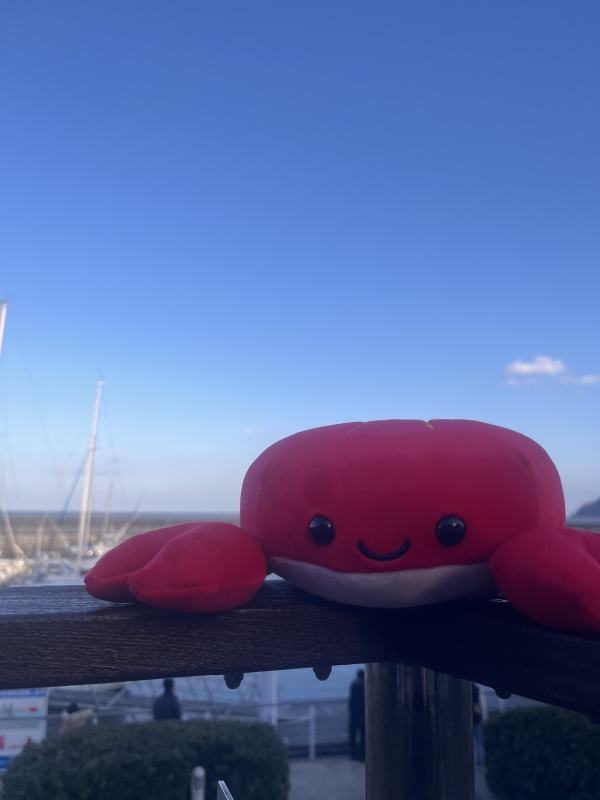 KANNA(ｶﾝﾅ)  カーディガン、持ちましたか？     