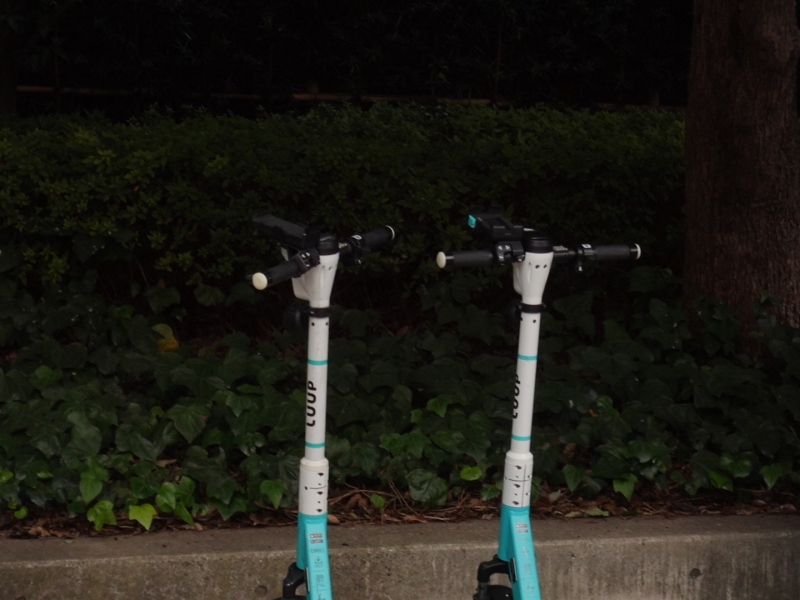 MASH(マッシュ) LUUP