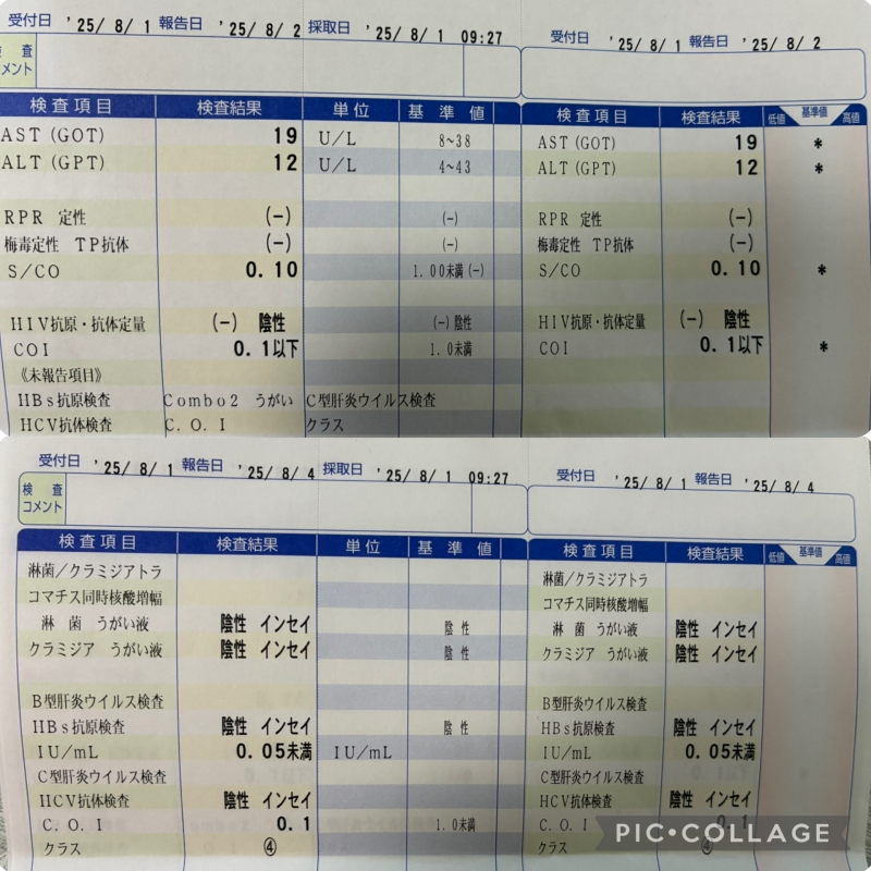 HANZO(ハンゾー) 検査
