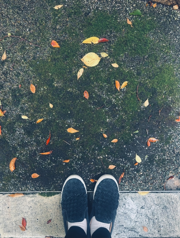 KONOSUKE(コウノスケ) 苔と秋が落ちてた