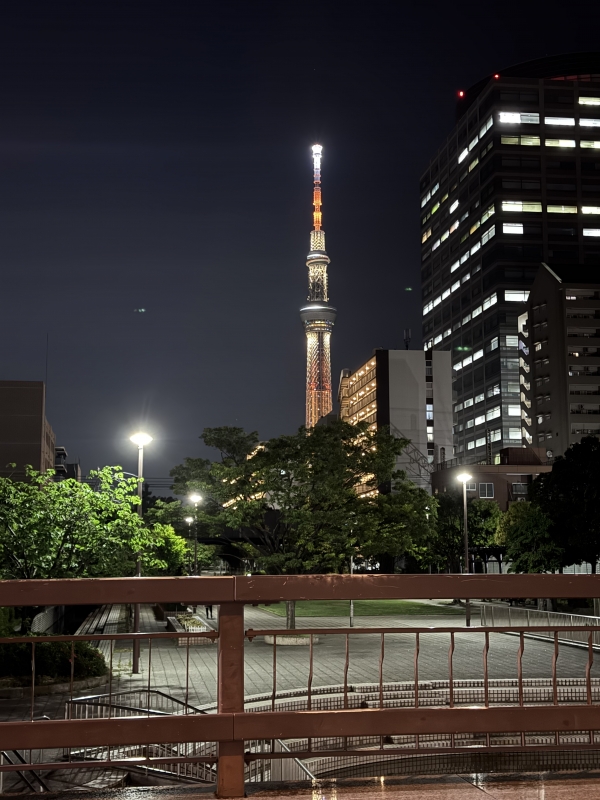 YAMATO(ヤマト) 夜🌙
