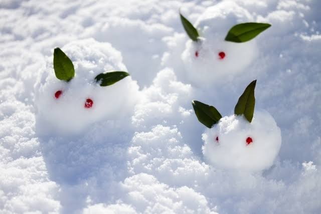 ふぶき 雪