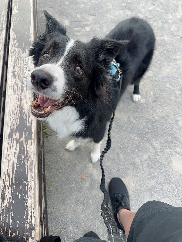 ATSUMU（ｱﾂﾑ） カラオケ行きたい