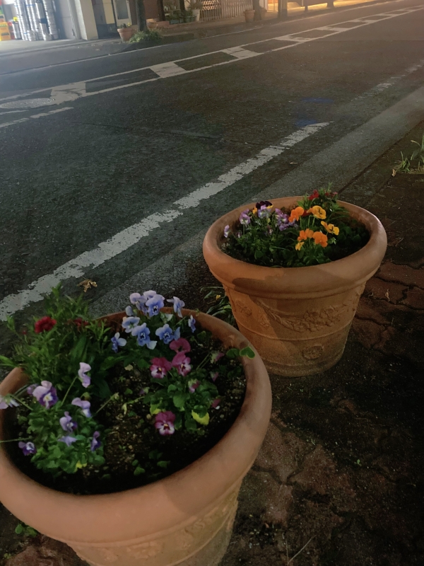 SOUTO(ｿｳﾄ) お疲れさま♪