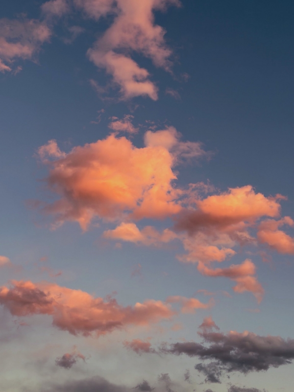 MANATO(ﾏﾅﾄ) おさんぽ