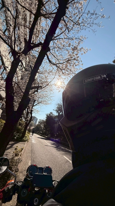 ARASHI(ｱﾗｼ) 【🌸🏍️】