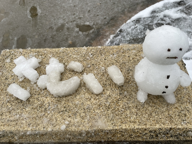 TATSUYA(ﾀﾂﾔ) 雪だるま選手権インド５位