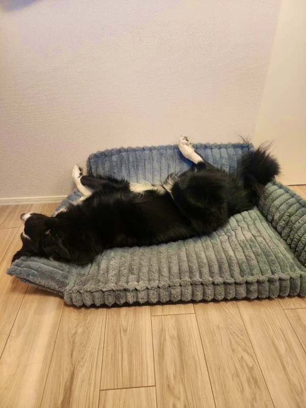 ATSUMU(アツム) 寝方