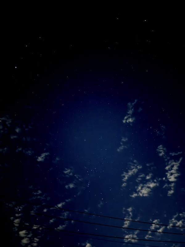 SHION(シオン) こんばんわ♪