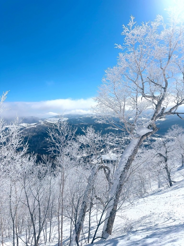 ATSUMU(アツム) ただいま