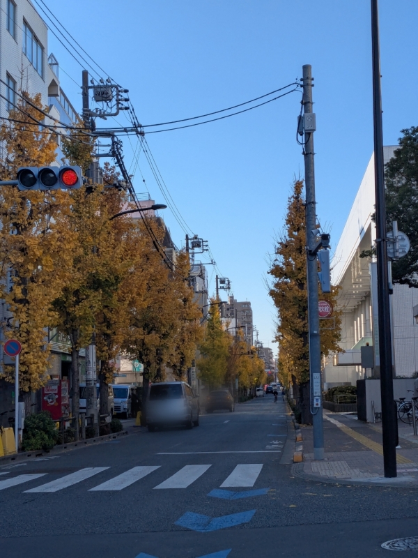 TERU(ﾃﾙ) 写真全然関係ないけど