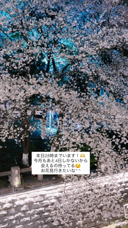 AYUMU(ｱﾕﾑ) 🌸