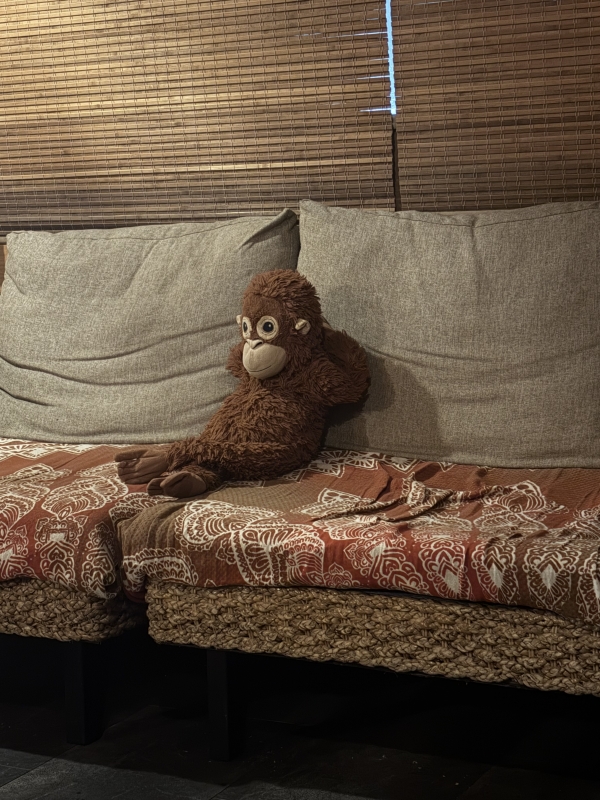 SOHI(ソヒ) Xつくりました!