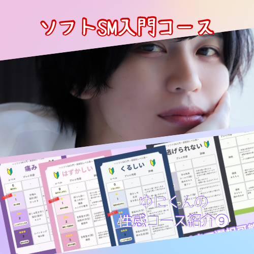 YUNI（ﾕﾆ） ソフトSM入門コースのまとめ！