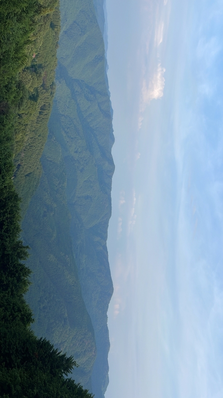 YOURA（ﾕｳﾗ） 出勤