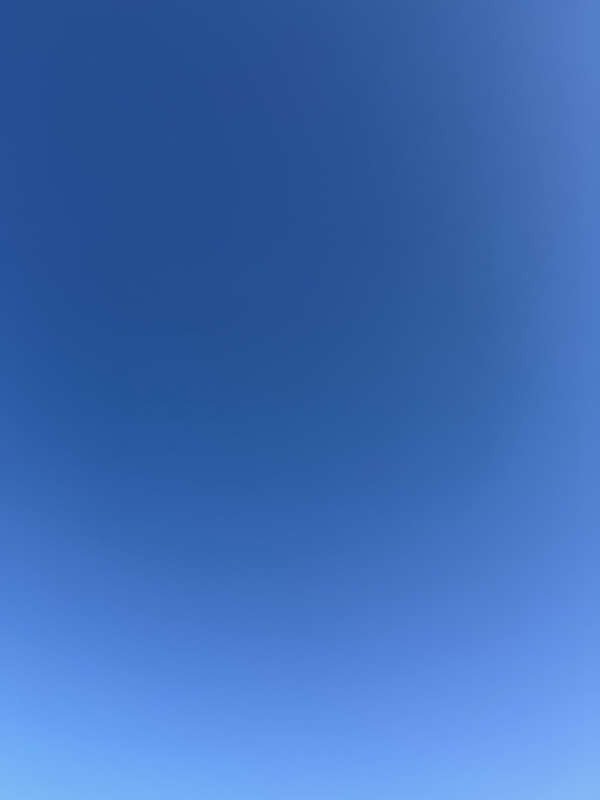 HISAKI(ヒサキ) 今朝の天気☀️