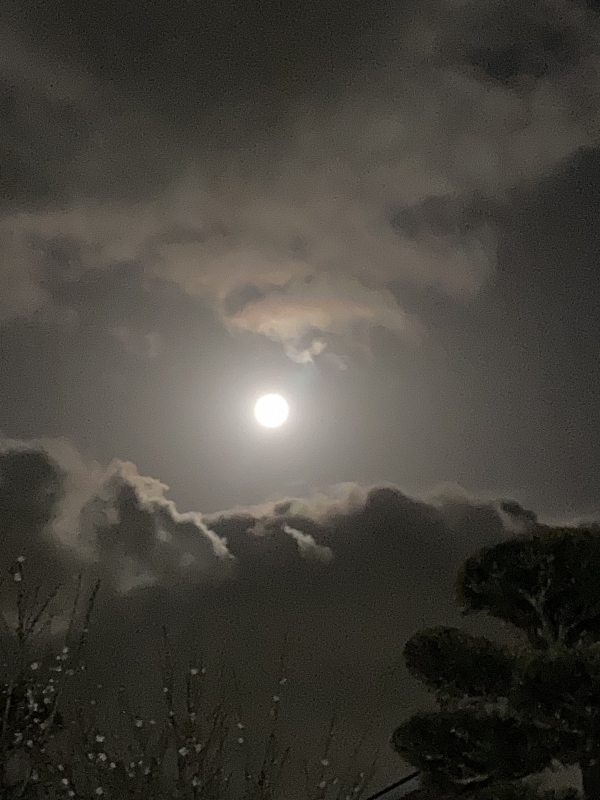 KAZUYA(ｶｽﾞﾔ) 出勤中