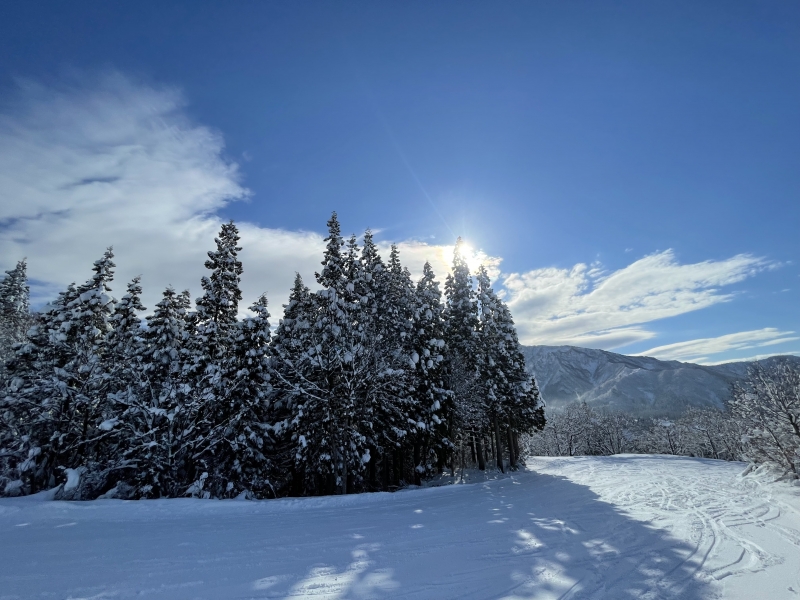 SEN(ｾﾝ) 初滑り