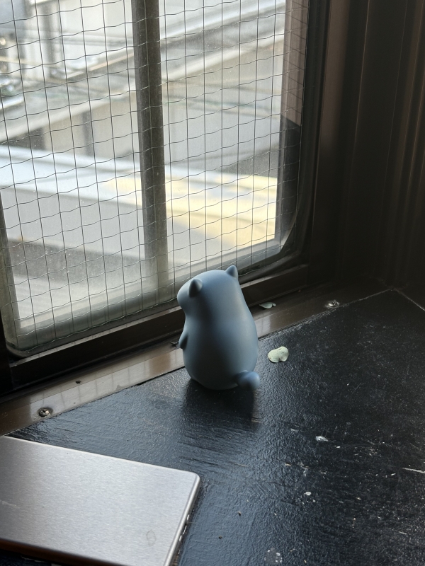 MASH(マッシュ) 待ちぼうけの子猫🐈