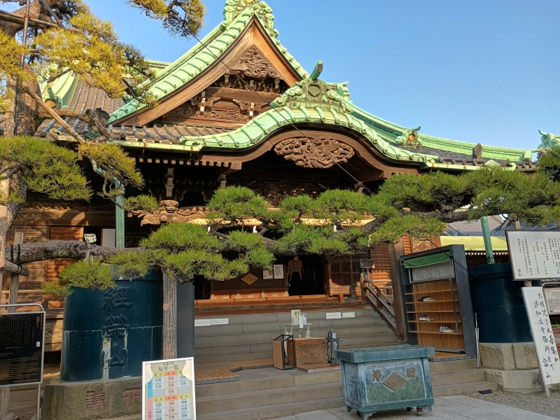 KOYOI(ｺﾖｲ) 偶然の出会い