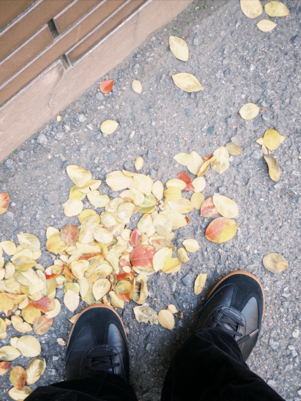 YUZU(ユズ) 落ち葉🍁