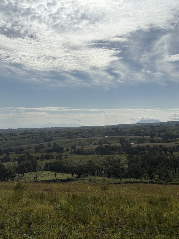 MASH(マッシュ) 進撃の巨人の聖地。 in熊本一人旅
