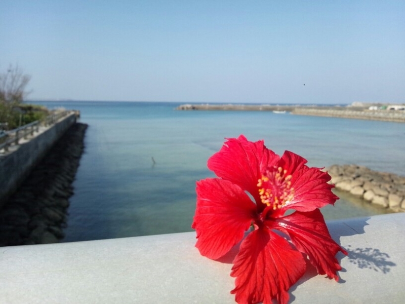 ISA(ｲｻ) 挑戦の年