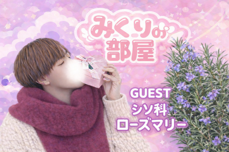 MIKURI(ﾐｸﾘ) 本日の『みくり部屋』は