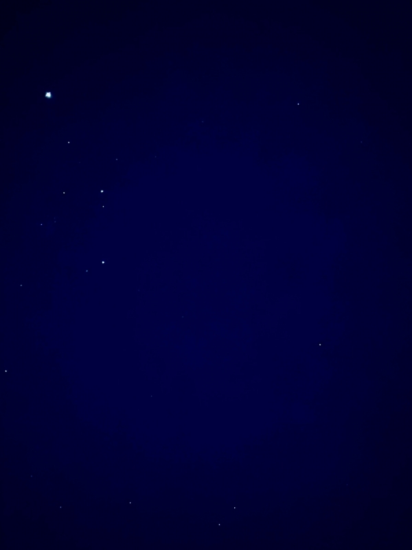 SHION(シオン) お詫び…